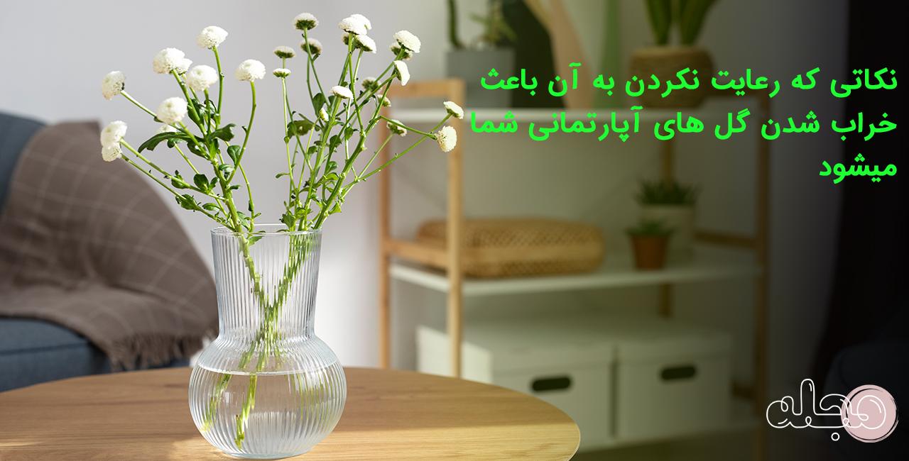 نکاتی که رعایت نکردن به آن باعث خراب شدن گل های آپارتمانی شما میشود !