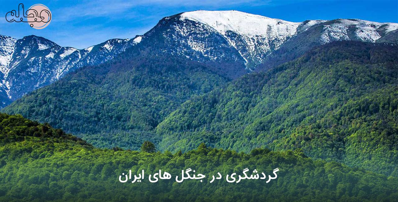 گردشگری در جنگل های ایران