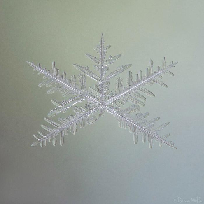 عکاسی ماکرو از دانه‌های برف؛ از ایده‌های عکاسی در برف