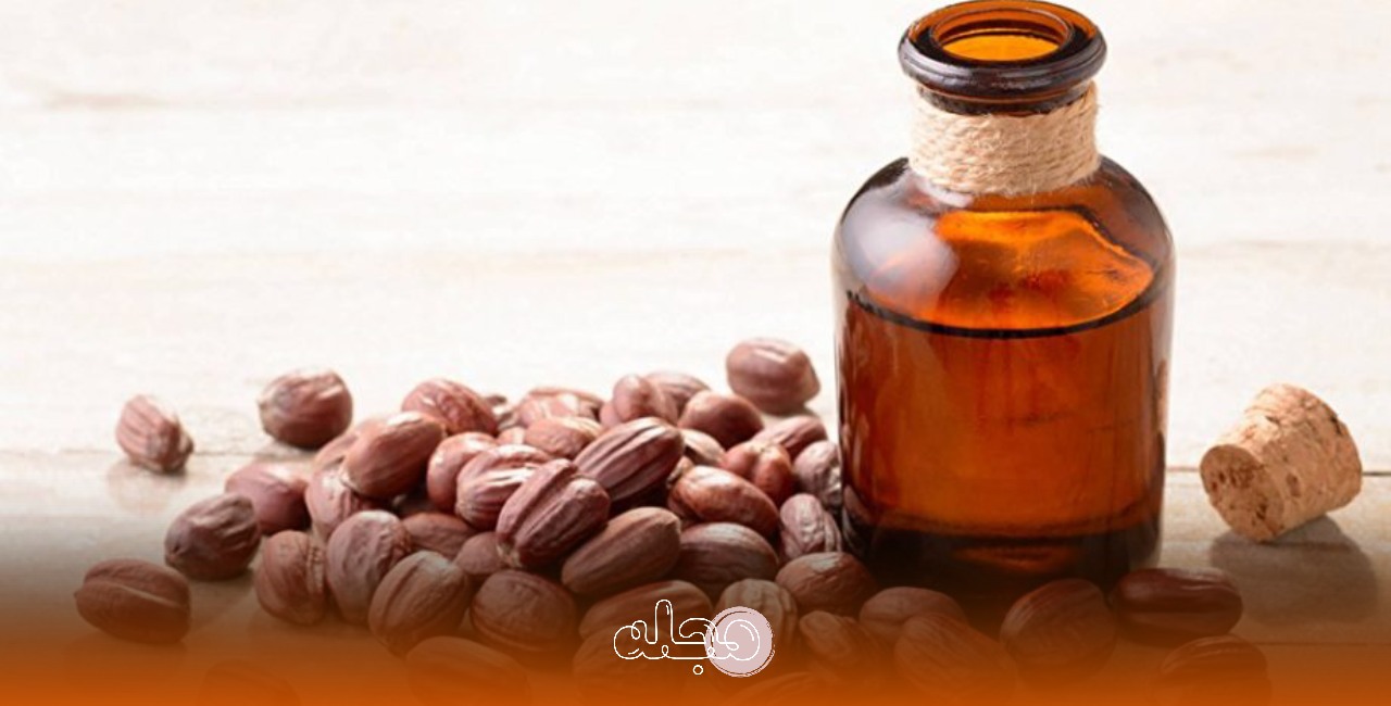 دانه جوجوبا