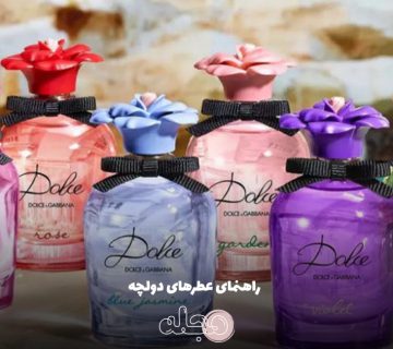 راهنمای عطرهای دولچه